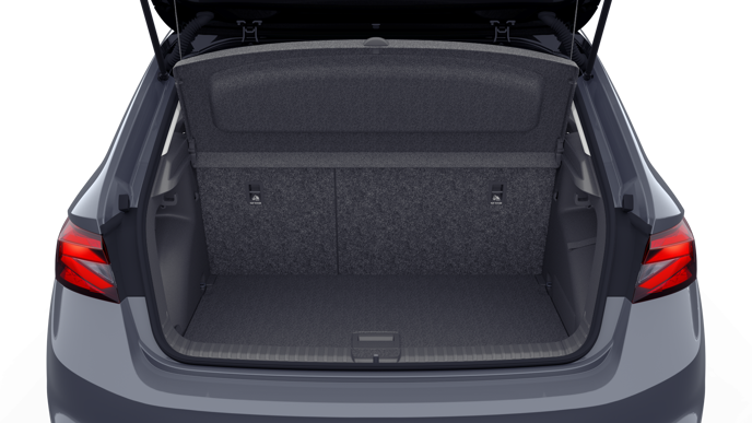 Bild eines Fabia Selection TSI DSG