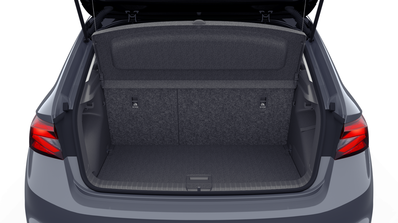 Bild eines Fabia Selection TSI DSG