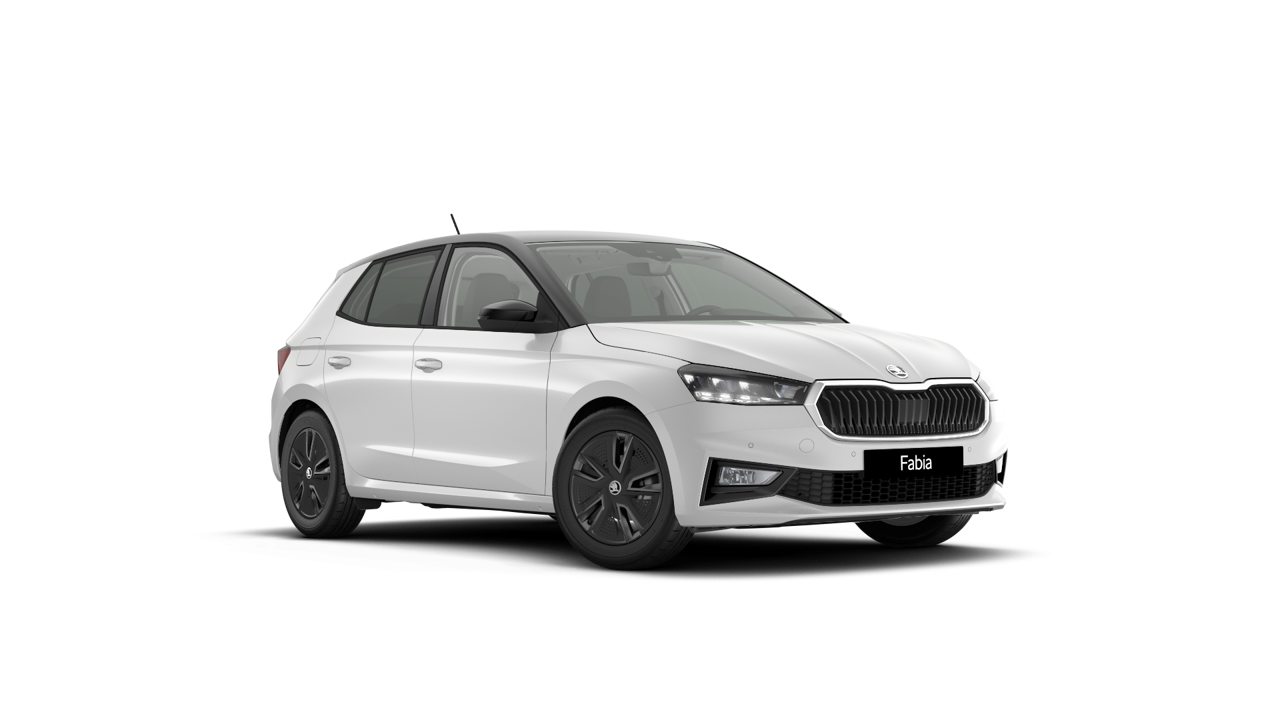 Bild eines Fabia Selection TSI