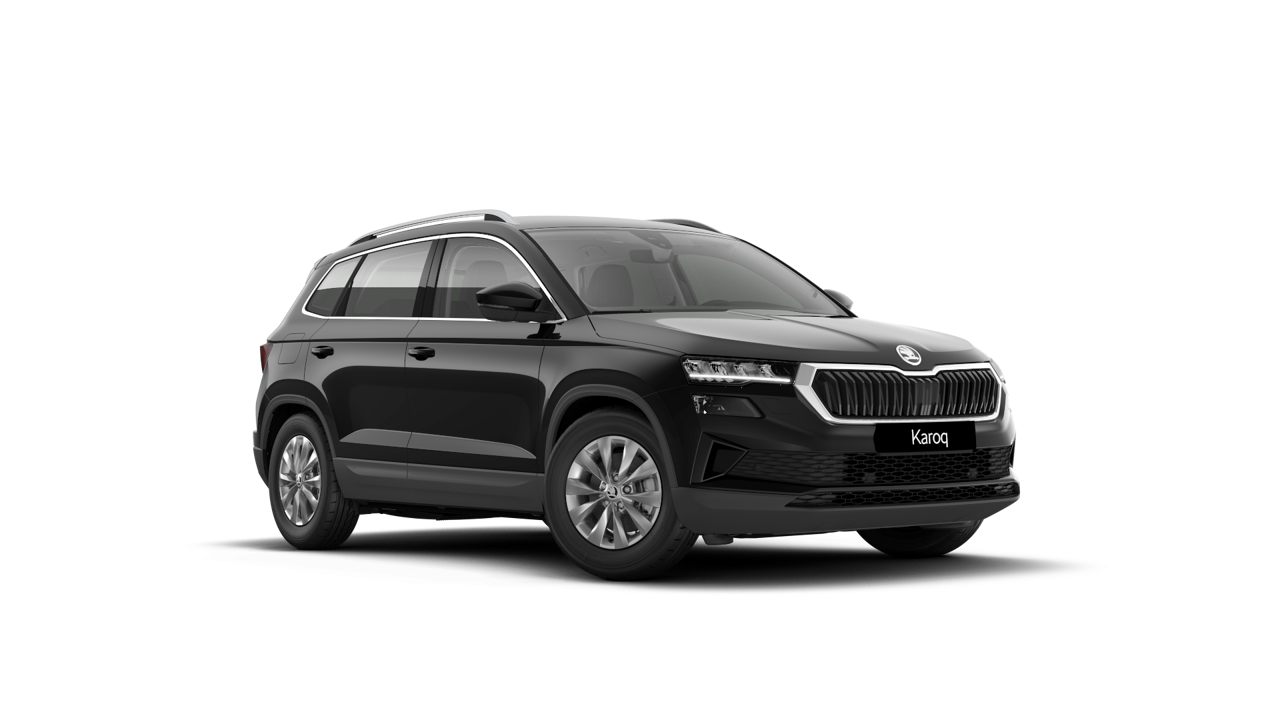 Bild eines Karoq 4x4 Selection TDI DSG