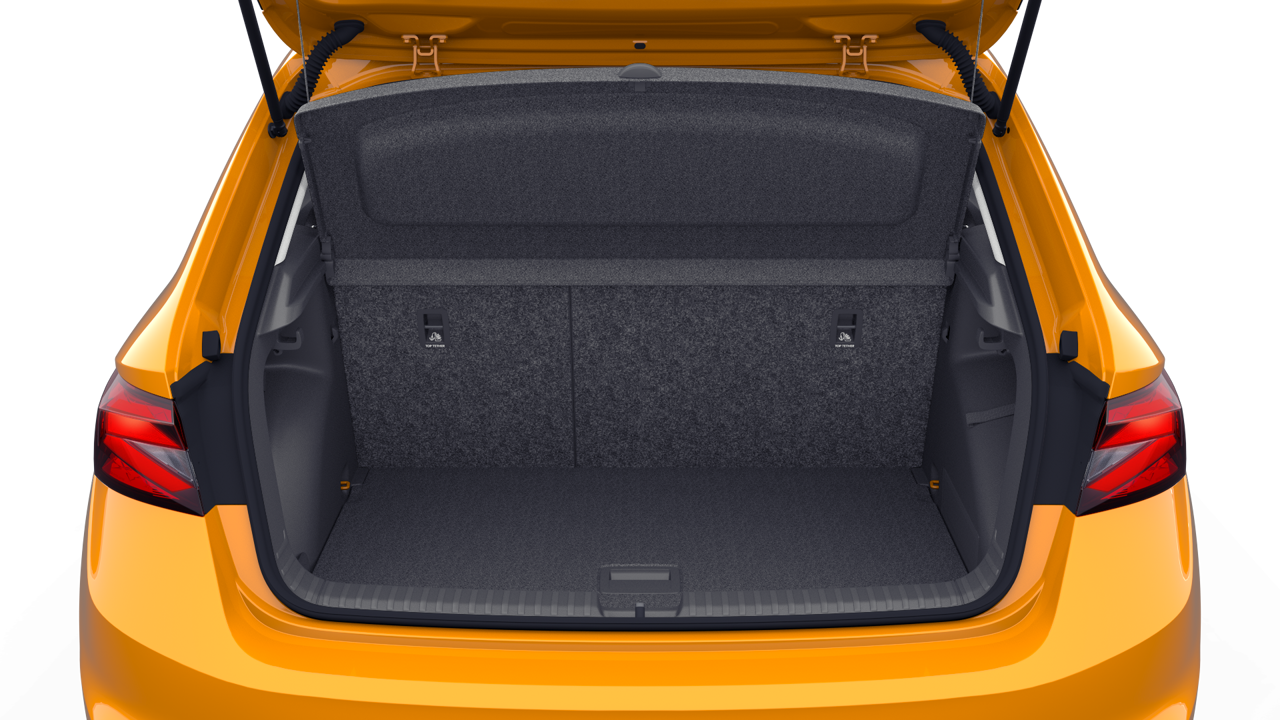 Bild eines Fabia Selection