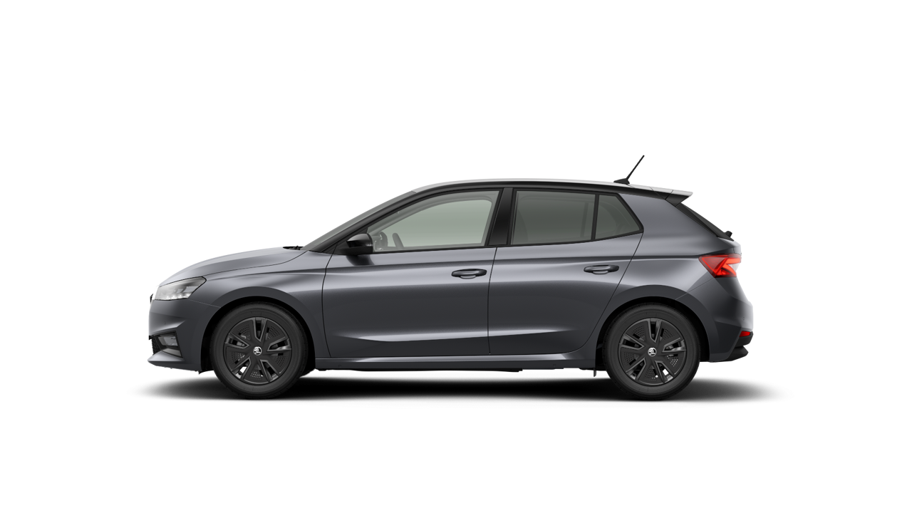 Bild eines Fabia Selection TSI