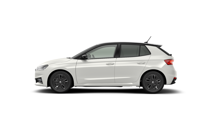 Bild eines Fabia Selection