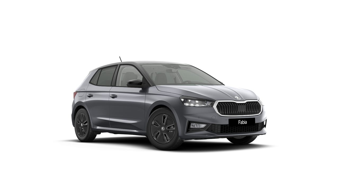 Bild eines Fabia Selection TSI DSG