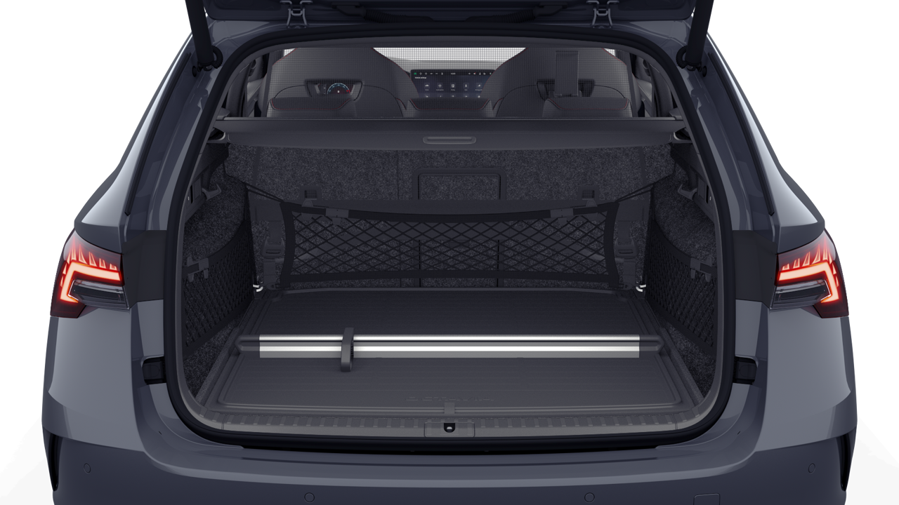 Bild eines Octavia Combi RS