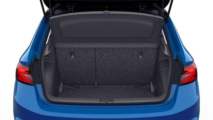 Bild eines Fabia Selection TSI DSG