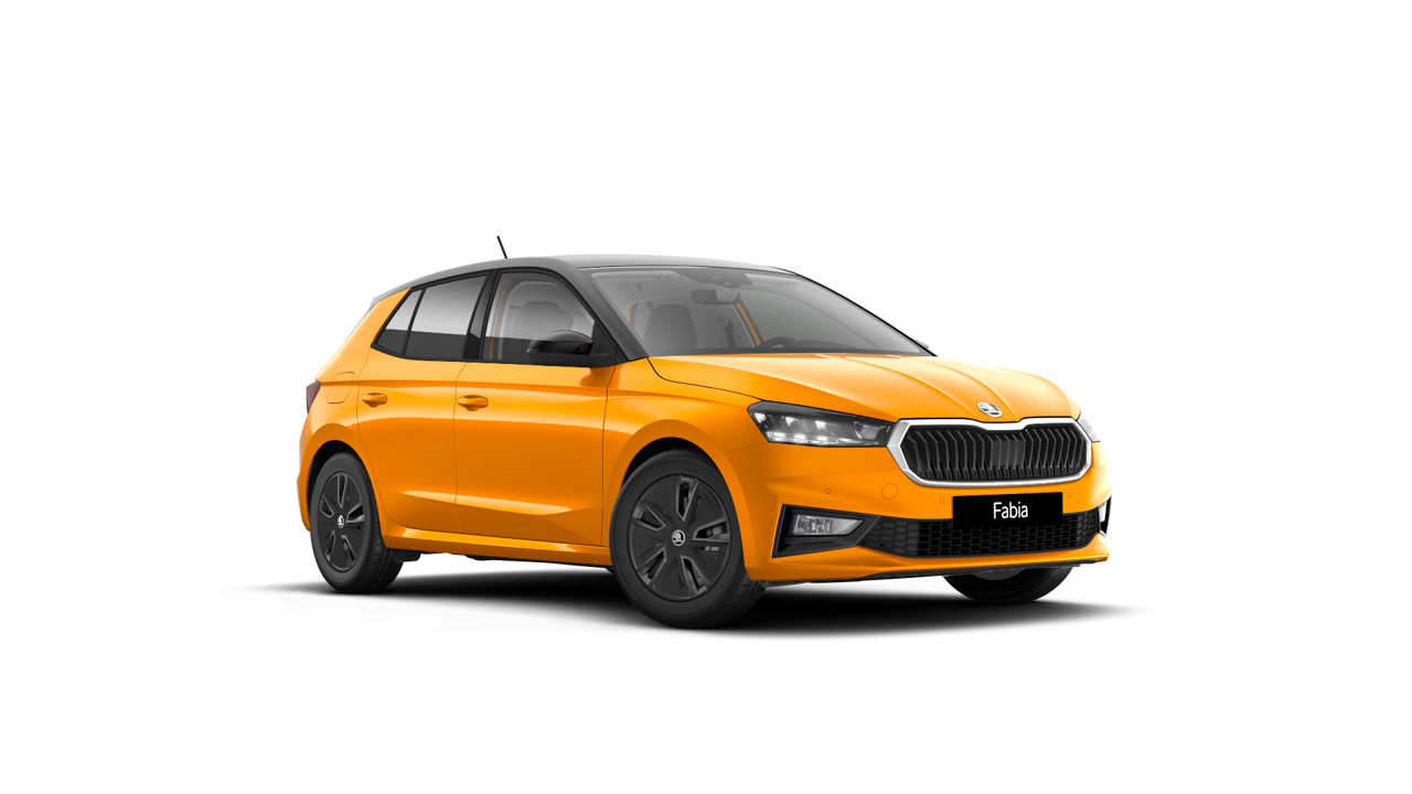Bild eines Fabia Selection TSI DSG