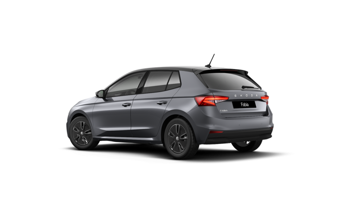 Bild eines Fabia Selection TSI