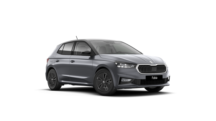 Bild eines Fabia Selection TSI