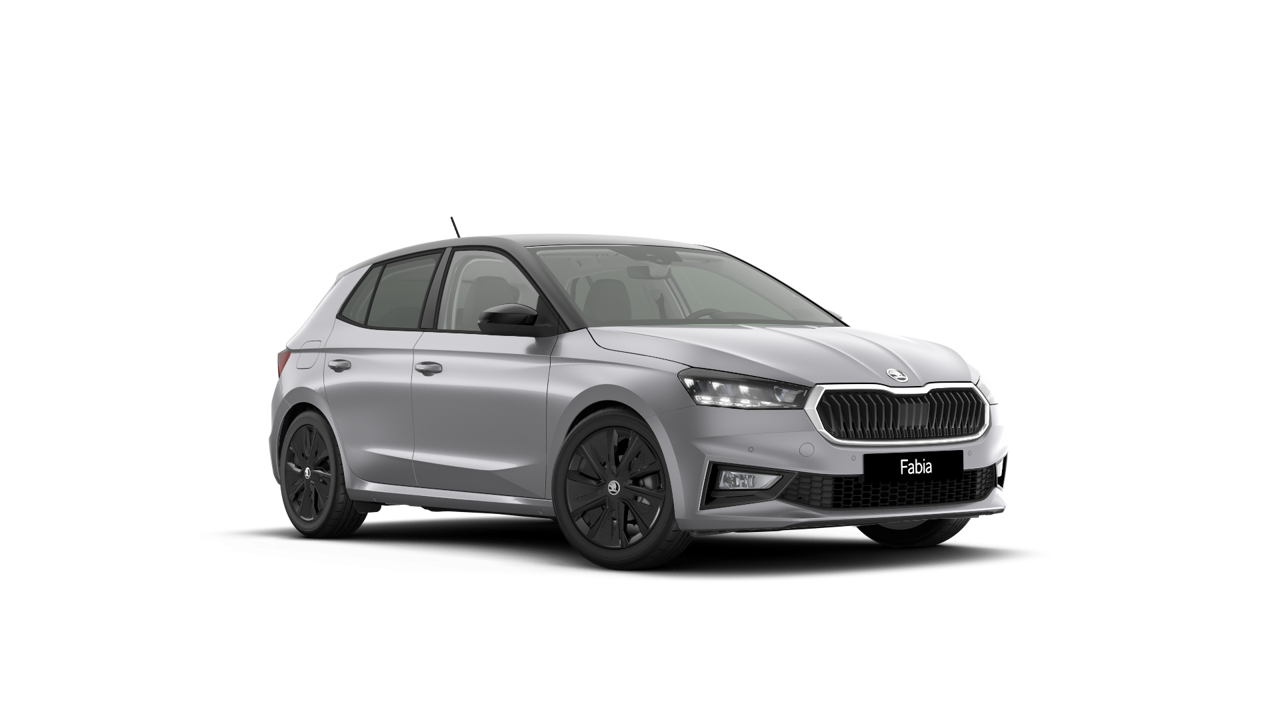 Bild eines Fabia Selection TSI