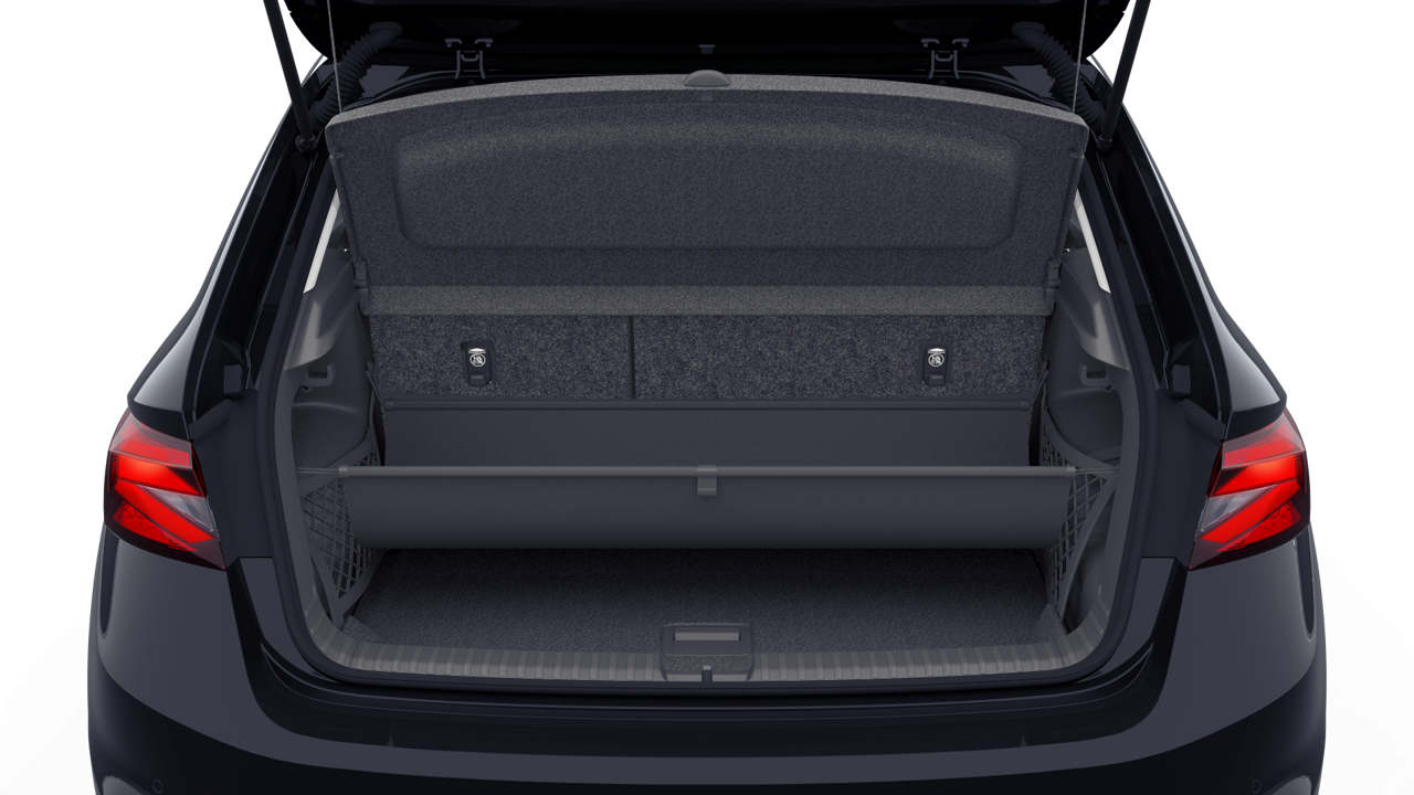 Bild eines Fabia Selection TSI DSG