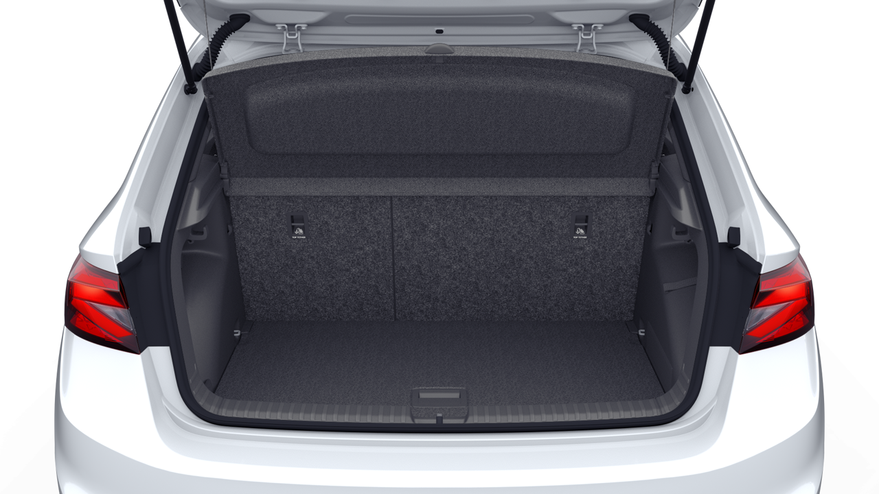 Bild eines Fabia Monte Carlo TSI