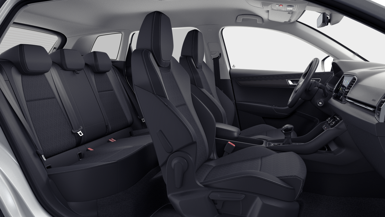 Bild eines Karoq 4x4 Selection TDI DSG