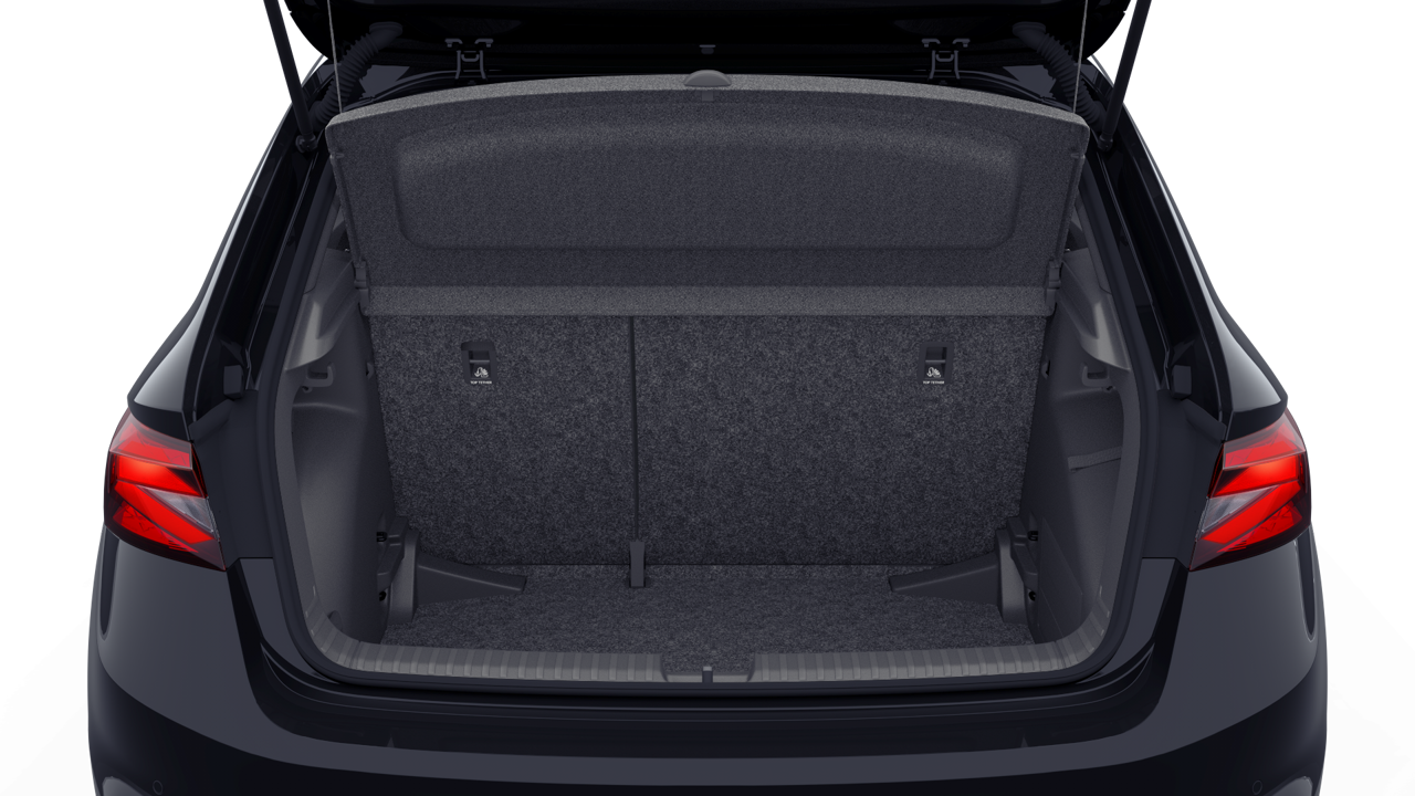 Bild eines Fabia Monte Carlo TSI
