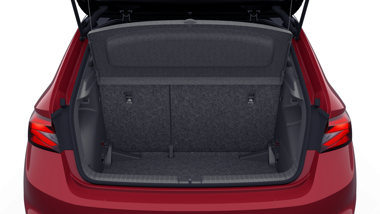 Bild eines Fabia Monte Carlo TSI