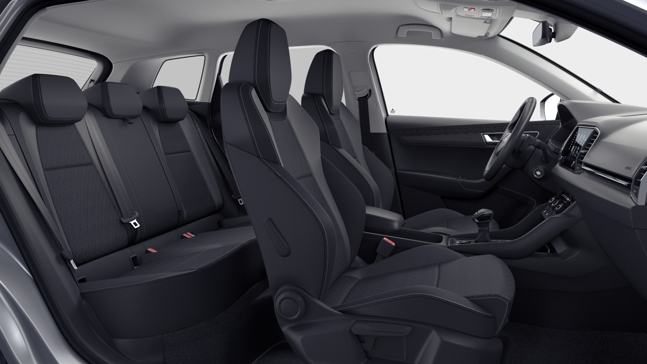 Bild eines Karoq 4x4 Selection TDI DSG