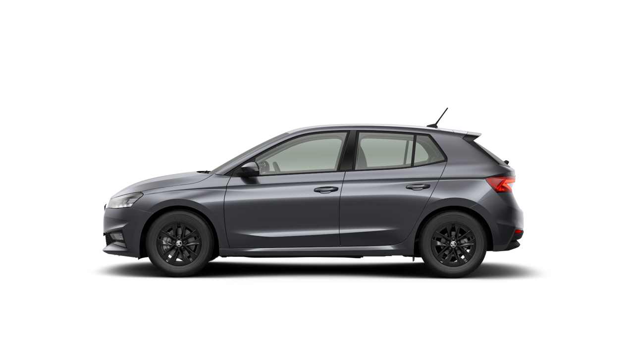 Bild eines Fabia Selection TSI DSG