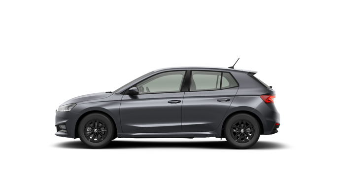 Bild eines Fabia Selection TSI DSG