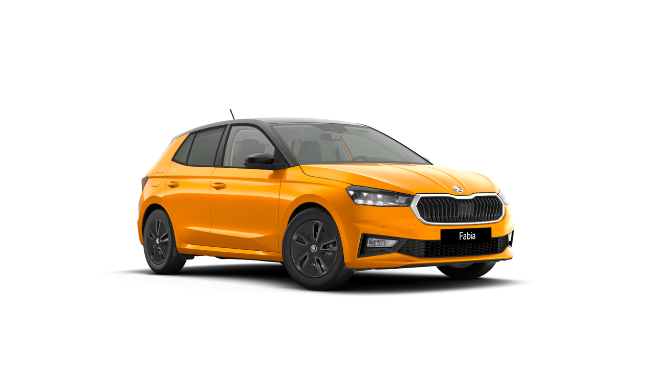 Bild eines Fabia Selection TSI