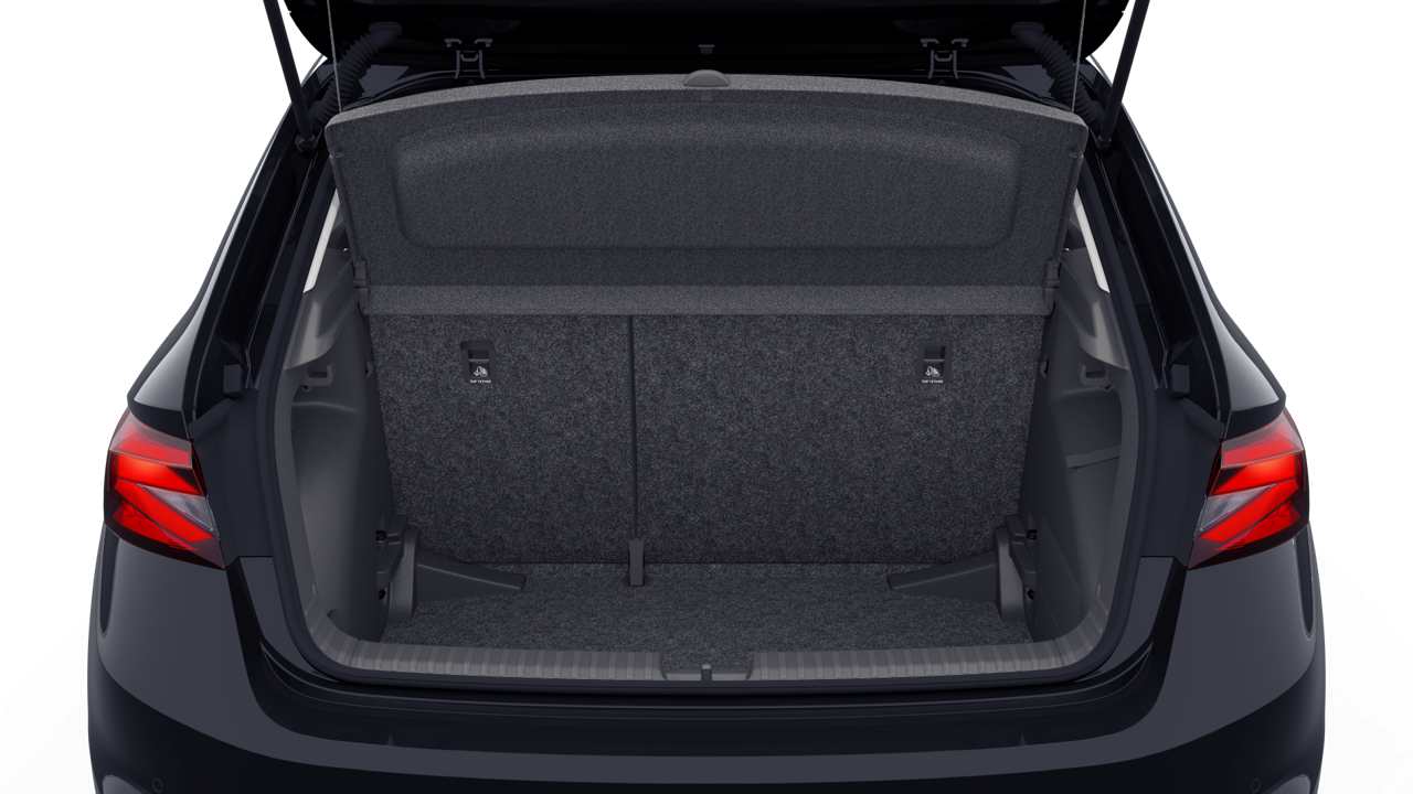Bild eines Fabia Selection TSI