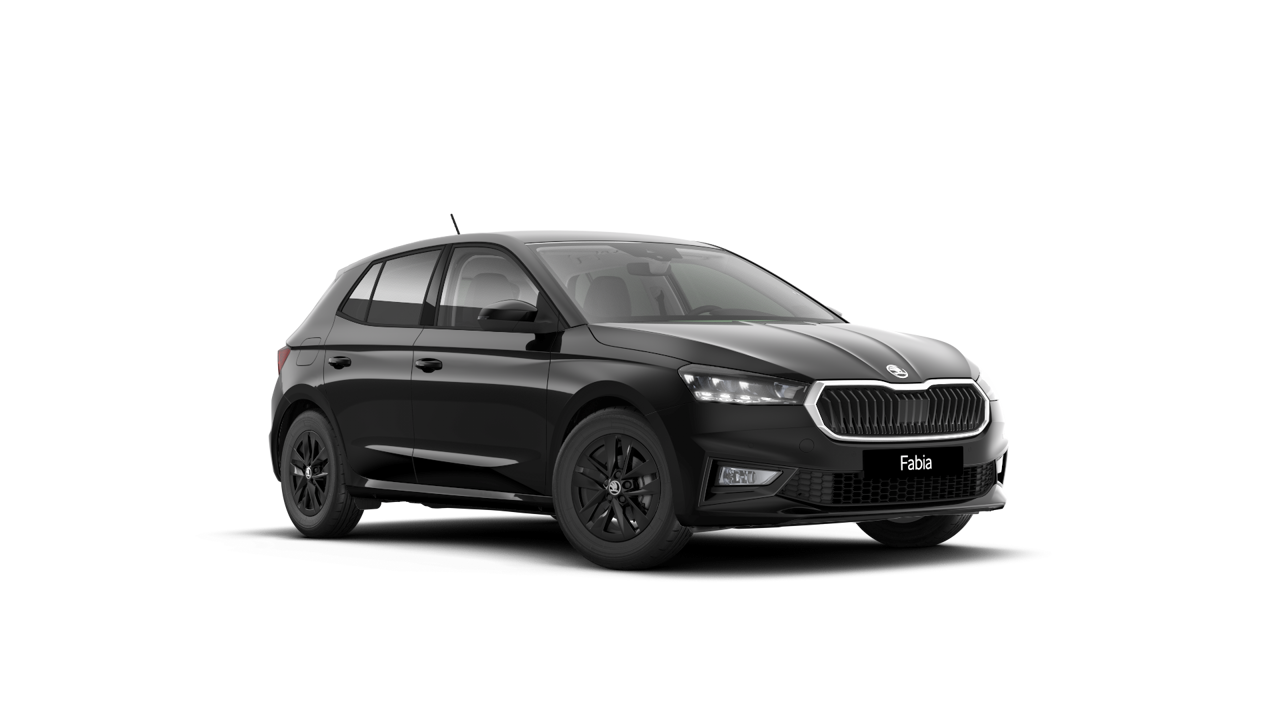 Bild eines Fabia Selection TSI