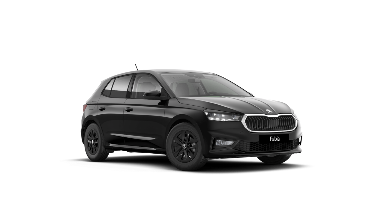 Bild eines Fabia Selection TSI