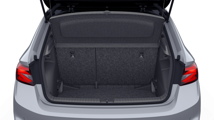 Bild eines Fabia Monte Carlo TSI DSG