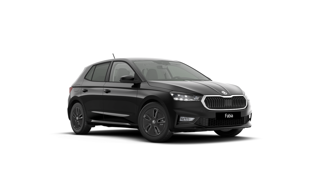 Bild eines Fabia Selection TSI DSG