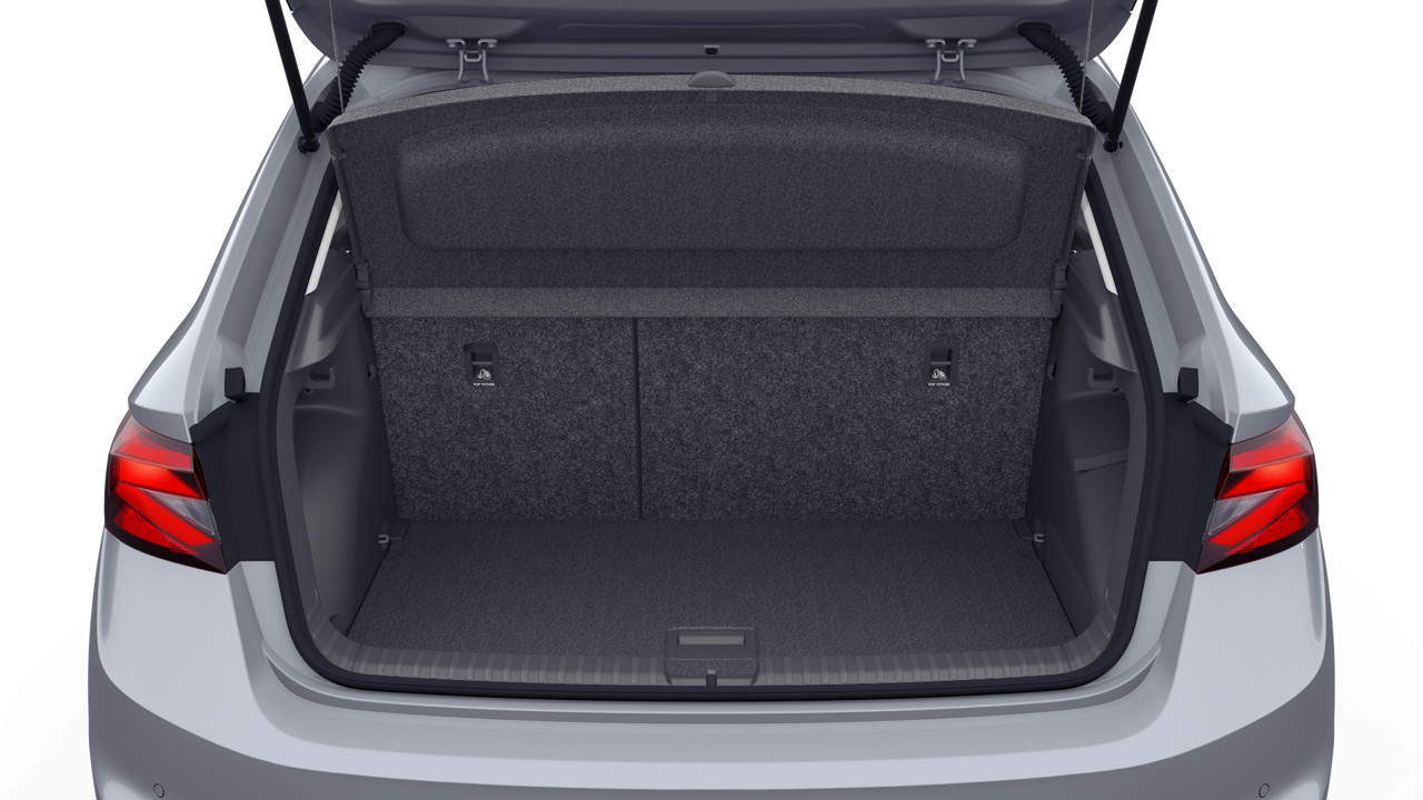 Bild eines Fabia Selection TSI DSG