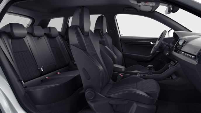 Bild eines Karoq Sportline TDI DSG