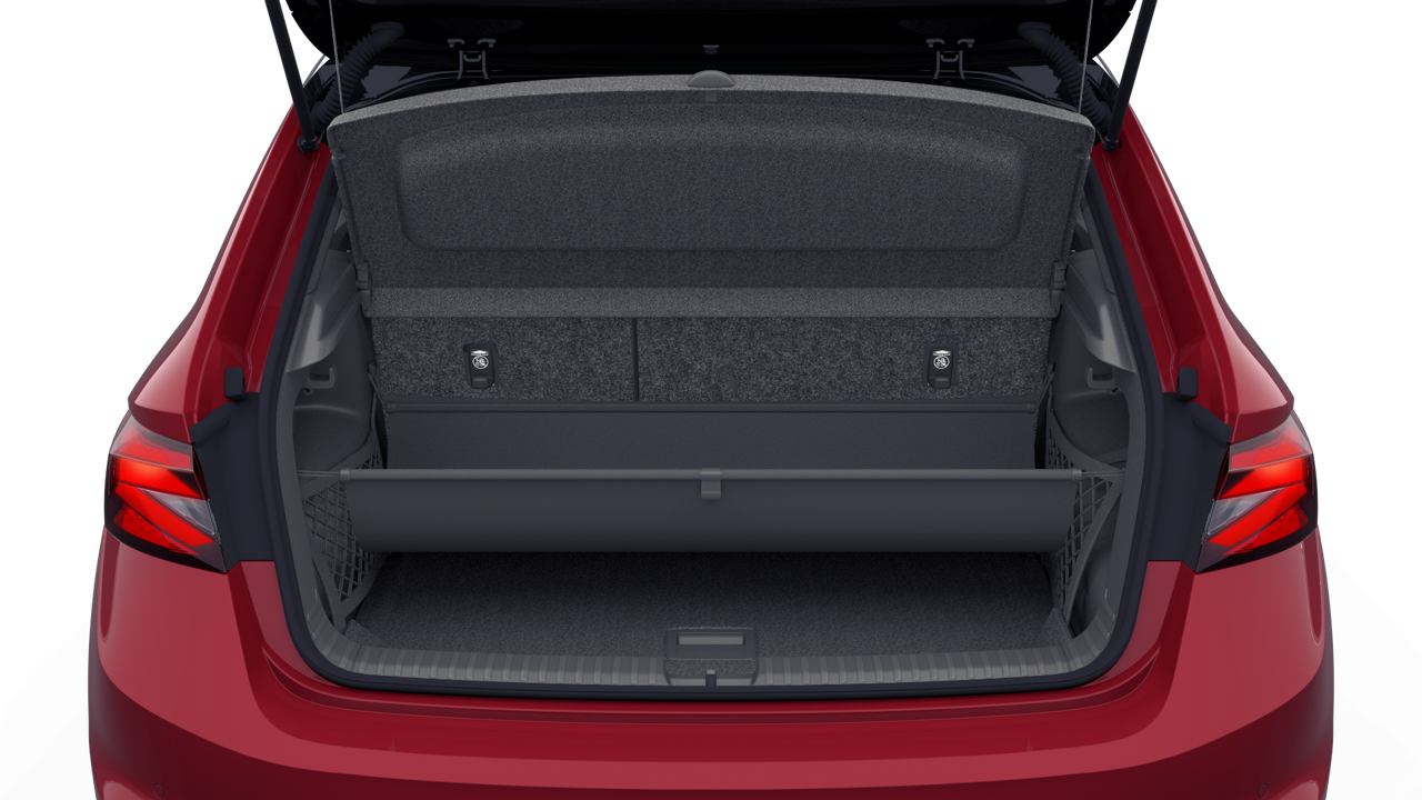 Bild eines Fabia Monte Carlo TSI