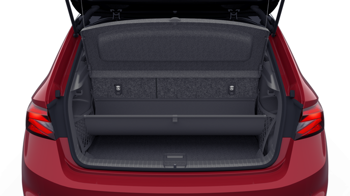 Bild eines Fabia Monte Carlo TSI