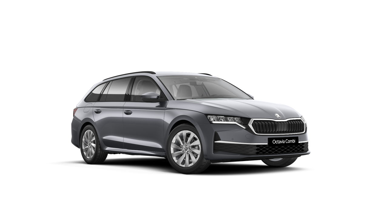Bild eines Octavia Combi Selection TDI DSG