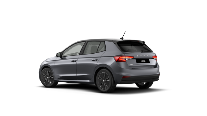 Bild eines Fabia Selection TSI