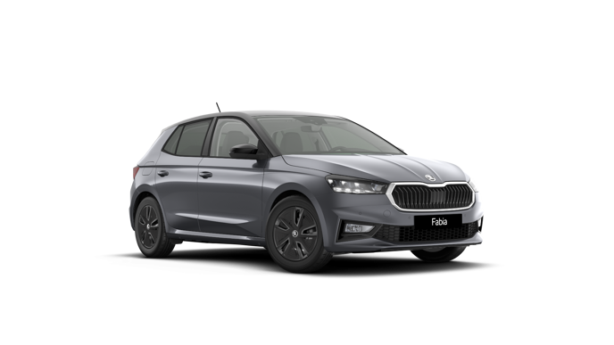 Bild eines Fabia Selection TSI