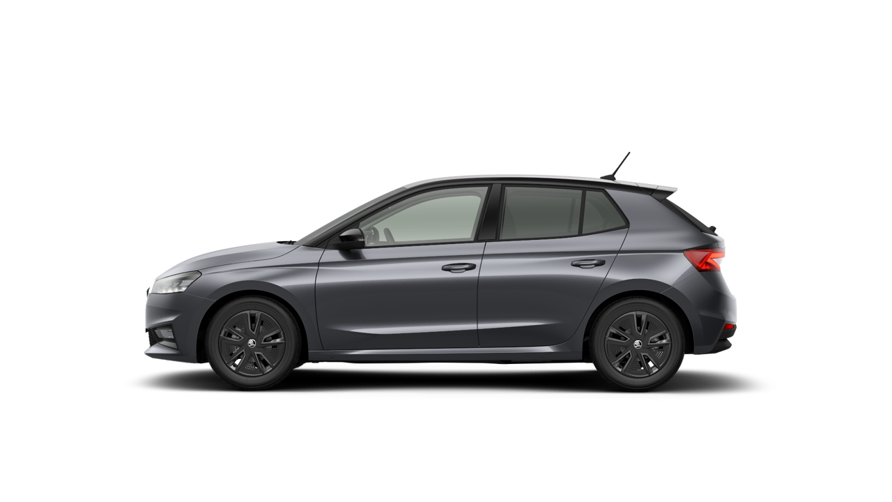 Bild eines Fabia Selection TSI