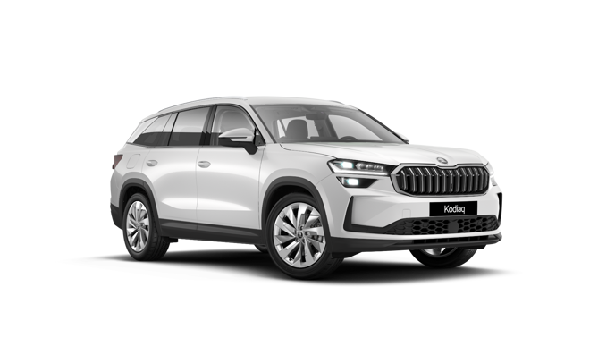 Bild eines Kodiaq Selection TDI DSG