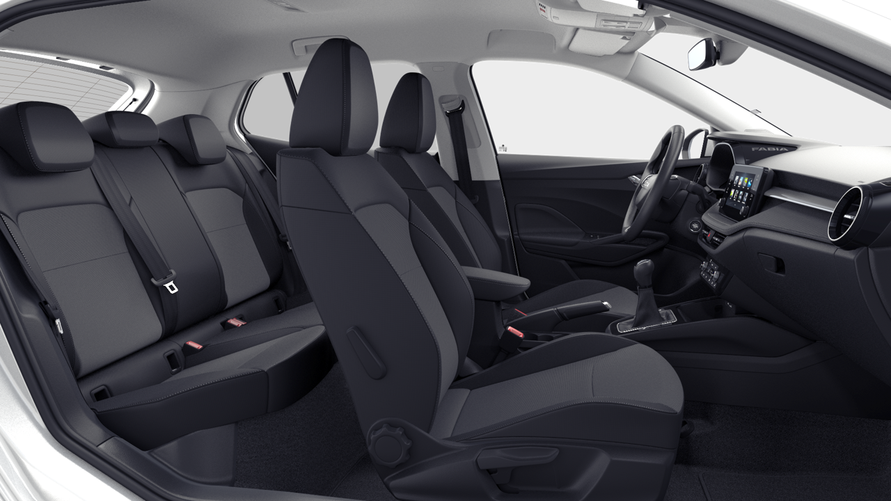 Bild eines Fabia Selection TSI