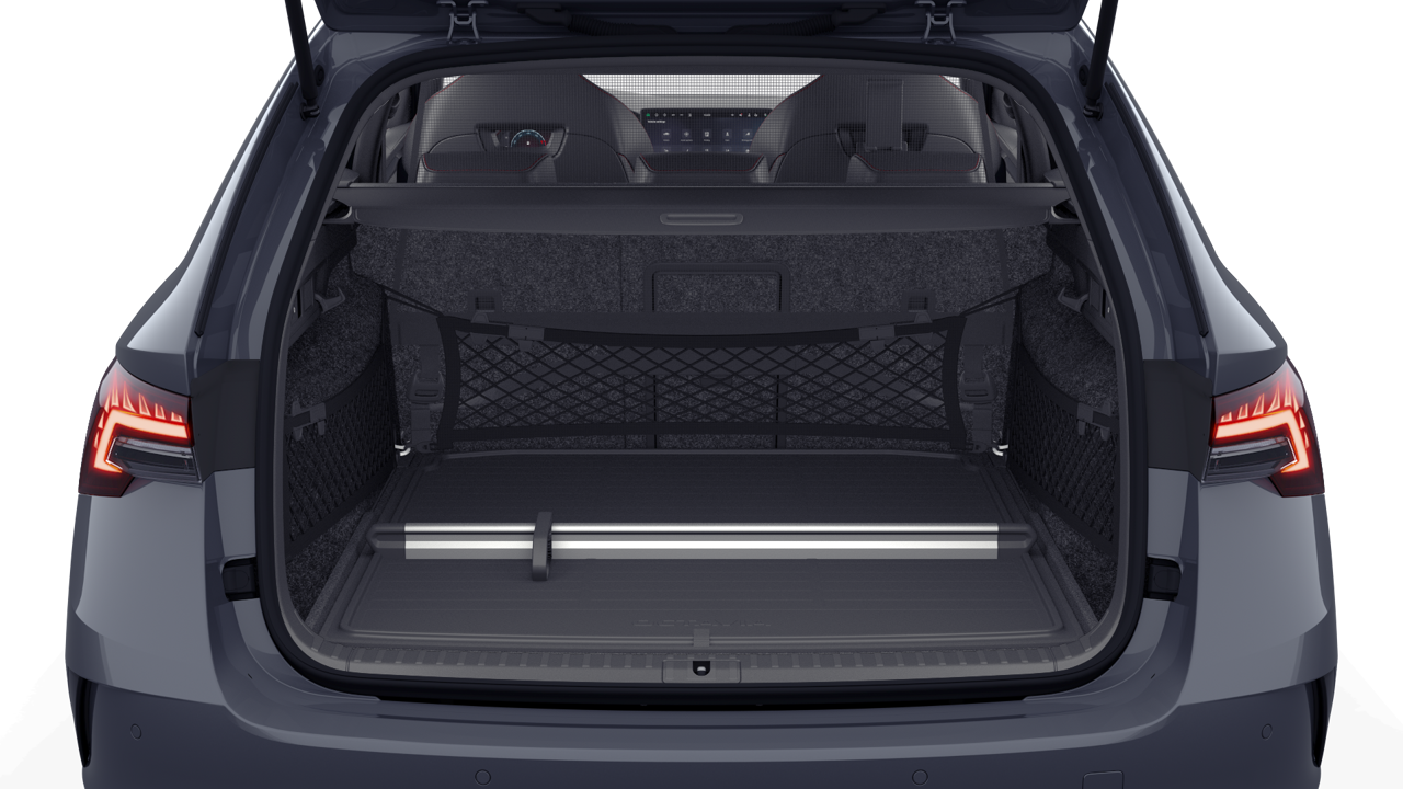 Bild eines Octavia Combi RS