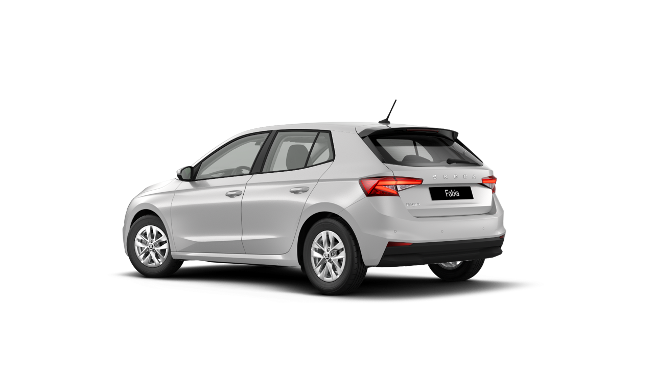 Bild eines Fabia Selection