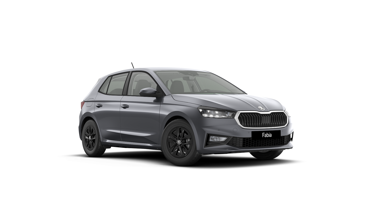 Bild eines Fabia Selection TSI