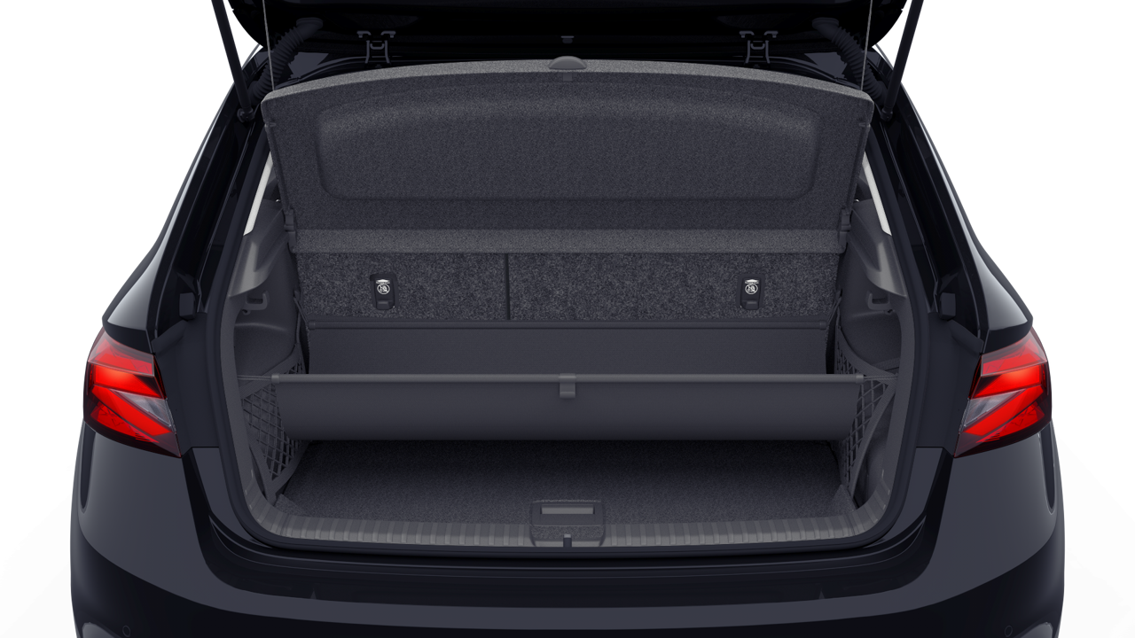 Bild eines Fabia Selection TSI