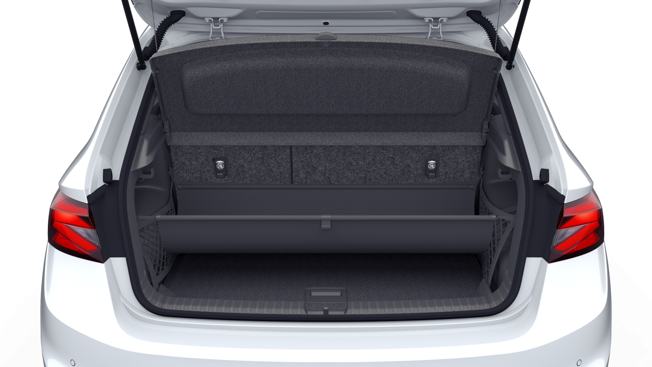 Bild eines Fabia Selection TSI DSG