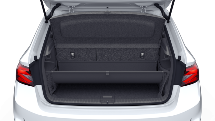 Bild eines Fabia Selection TSI DSG