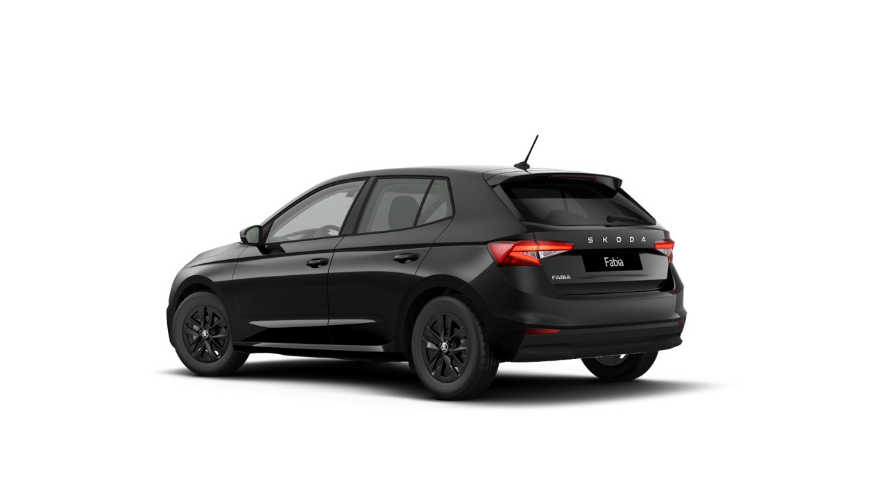 Bild eines Fabia Selection