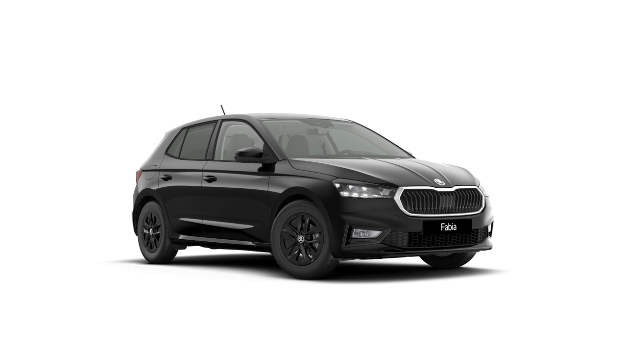 Bild eines Fabia Selection
