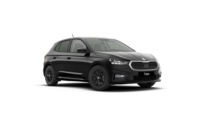 Bild eines Fabia Selection TSI