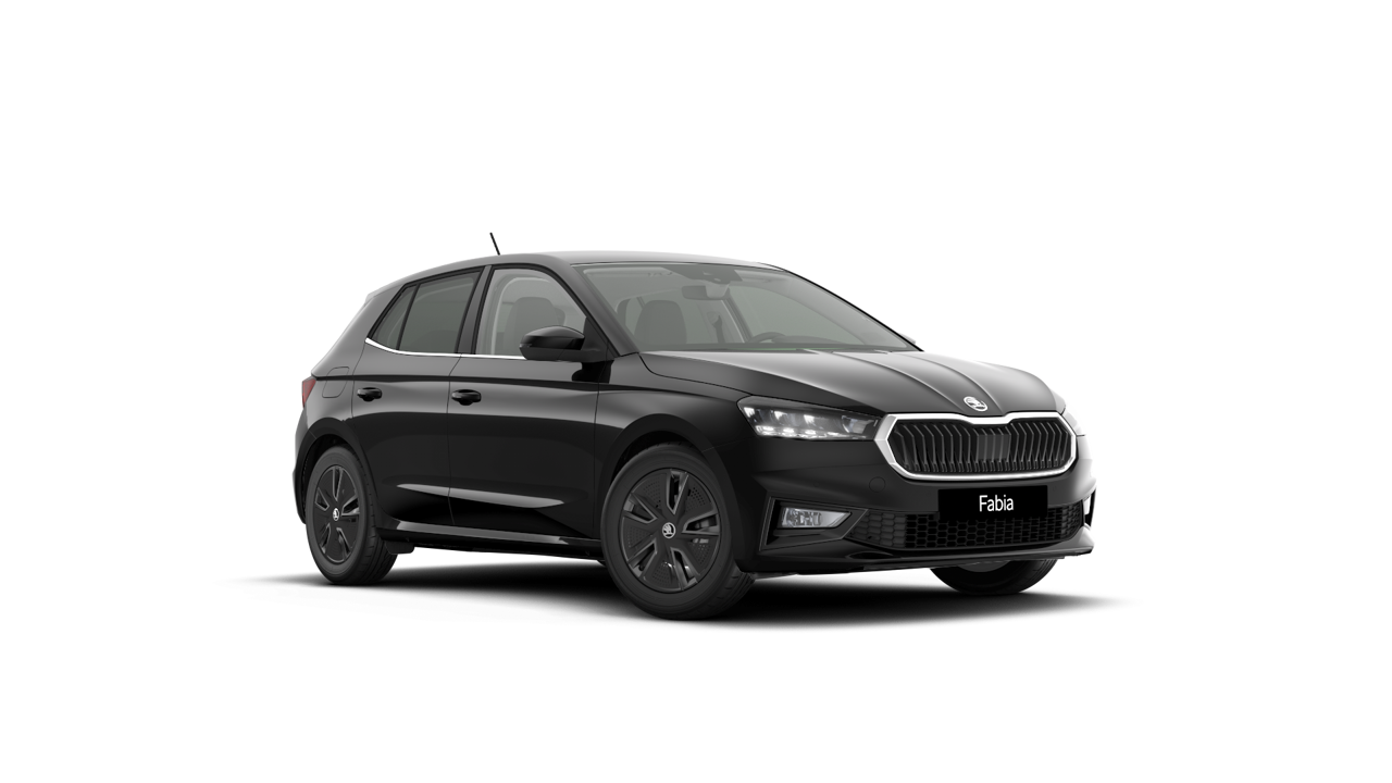 Bild eines Fabia Selection TSI