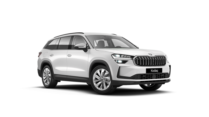 Bild eines Kodiaq Selection TDI DSG