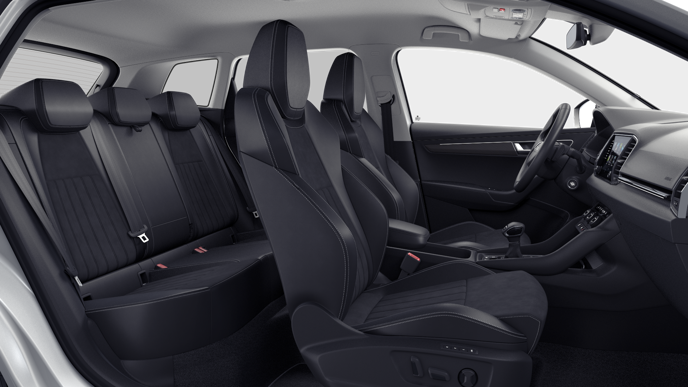 Bild eines Karoq 4x4 Selection TDI DSG